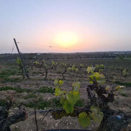 Quinta Do Navarro Carvoeiro Villa *