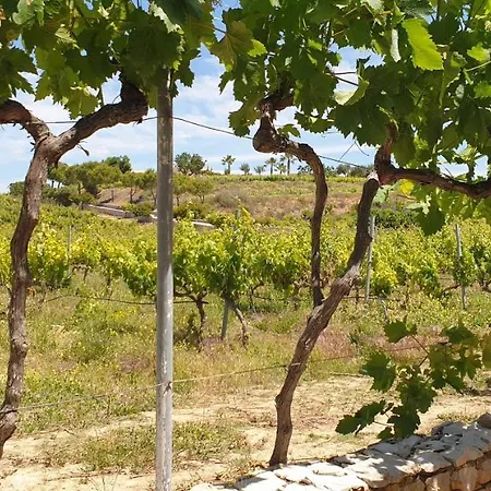Quinta Do Navarro Carvoeiro Villa *